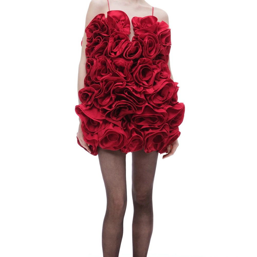 Magda Butrym x H&M Elegant Red Floral Dress
